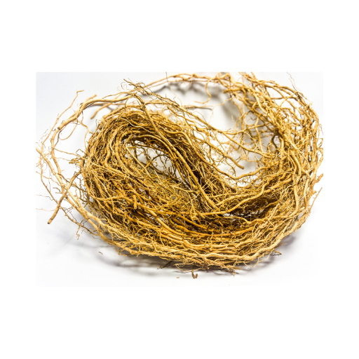 Vetiver